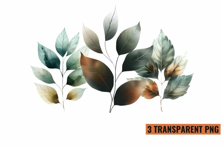Watercolor Botanical Clipart Sublimation, PNG