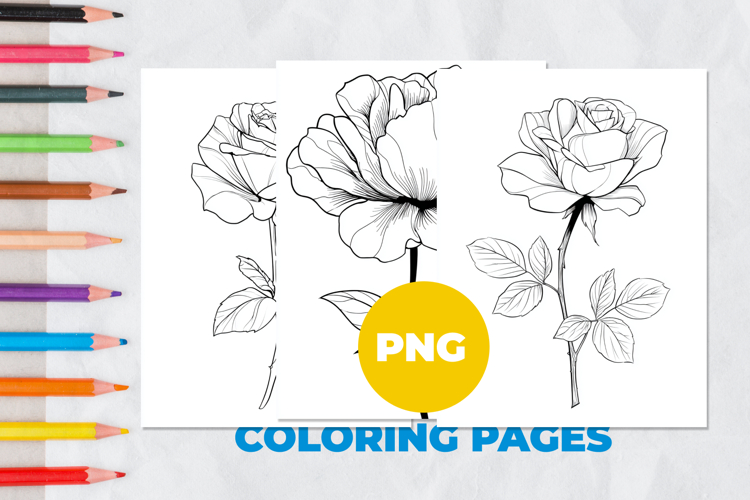 Rose Flower Coloring Pages Image 2