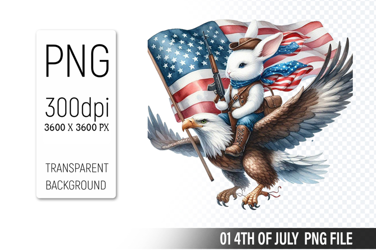 American Flag Png Image 21