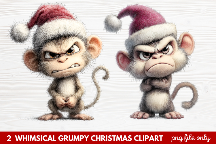 2 Whimsical Grumpy Christmas Clipart | Funny Grumpy Holiday