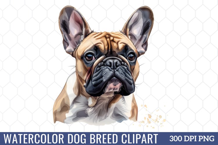 Spring Clipart Image 16