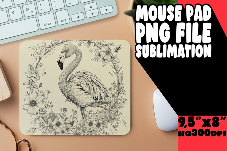 Feather Clipart Image 22