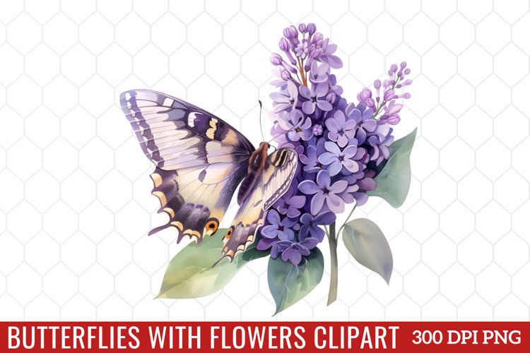 Butterfly Clipart Image 23