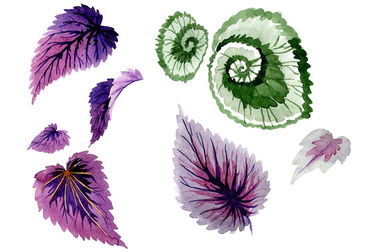 Watercolor Leaves Clipart Image 13