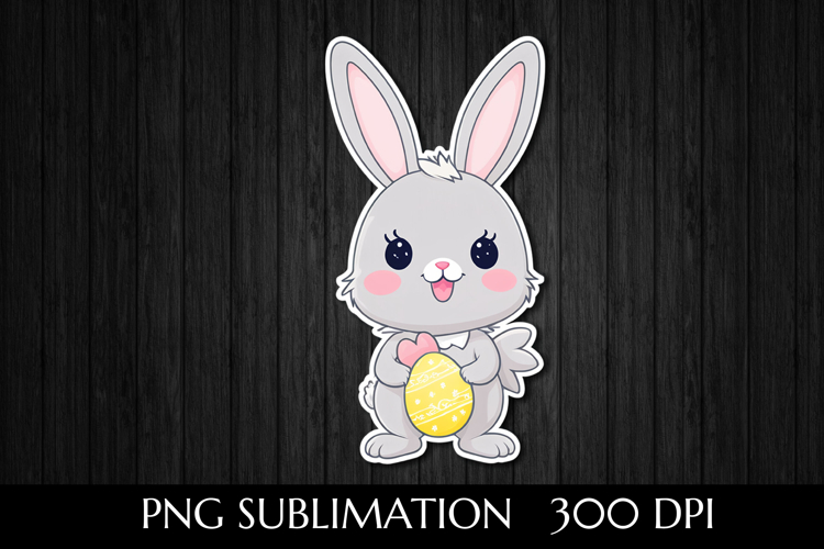 Rabbit Illustration Image 13