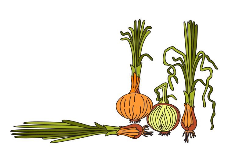Shop Clipart Image 24