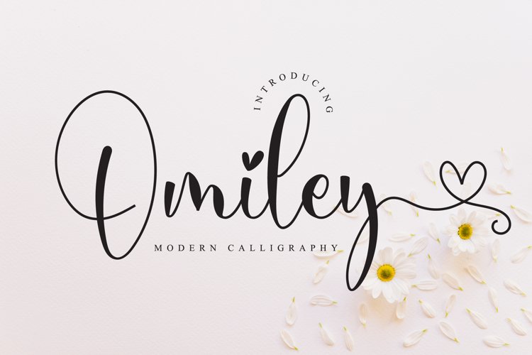 Omiley - Lovely Script Font example image 1