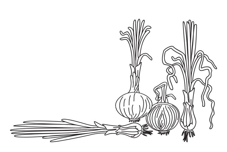 Vegetable Garden Clipart Image 19