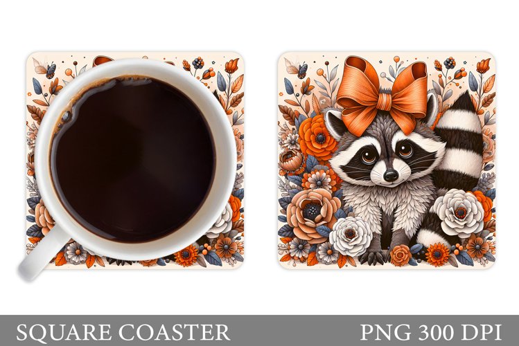 Raccoon Clipart Image 15