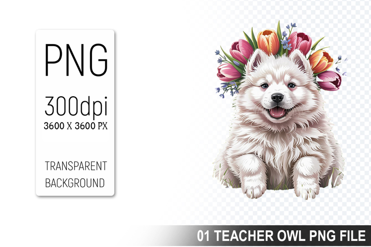 Pet Illustration Image 5