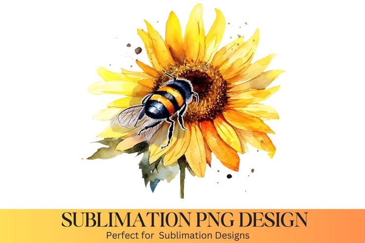 Sunflower PNG Image 16