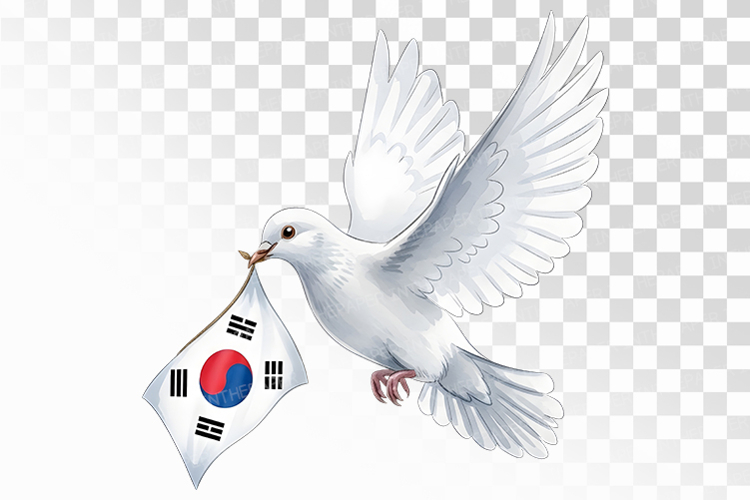 Dove Carrying Taegeukgi Peace Symbol PNG Korean Independence