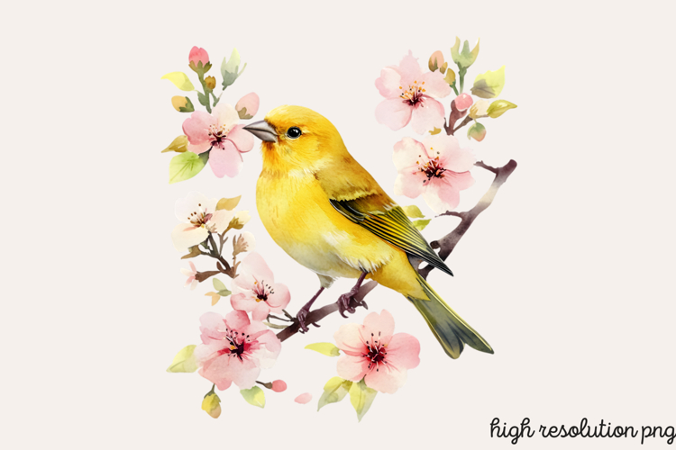 Spring Clipart Image 17