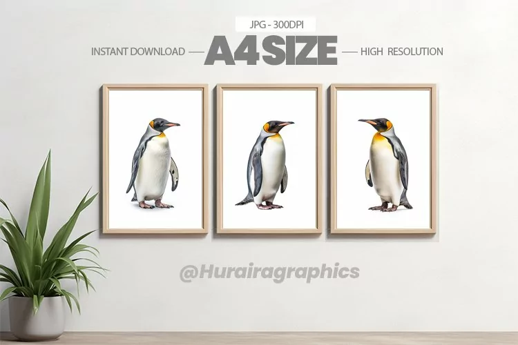 Bird Wall Art - 03 Variations