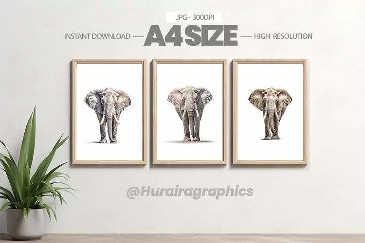 Animal Wall Art - 03 Variations