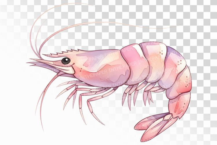 Kawaii Clipart Image 7