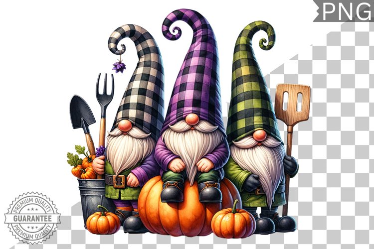 Gnome Clipart Image 12