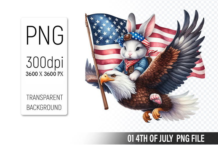 American Flag Png Image 18
