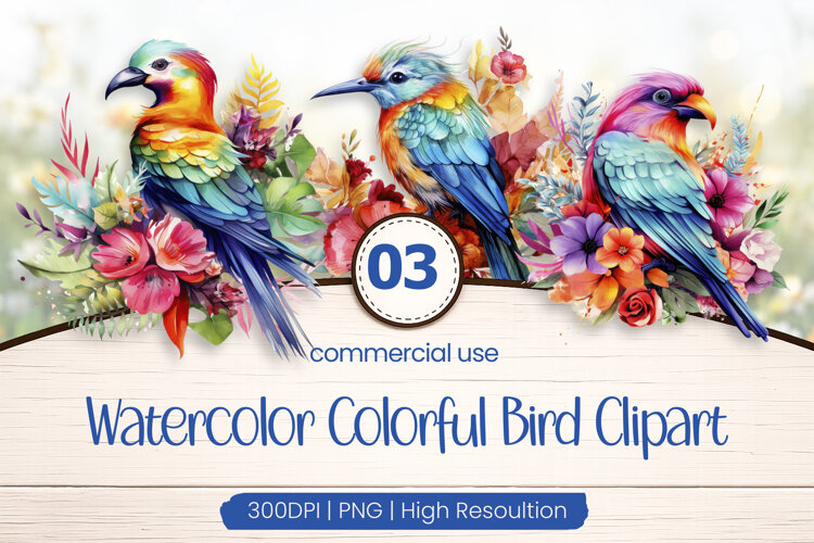 Colorful Bird Clipart PNG example image 1
