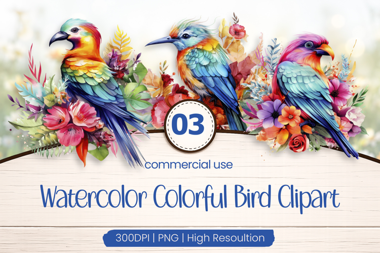 Colorful Bird Clipart PNG