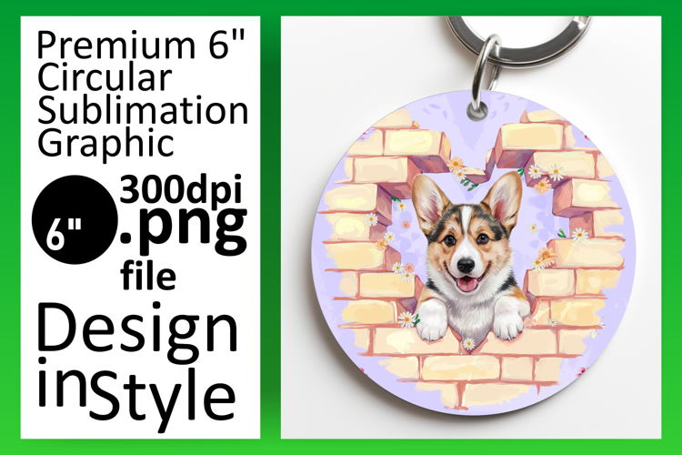 Circle Png Image 13