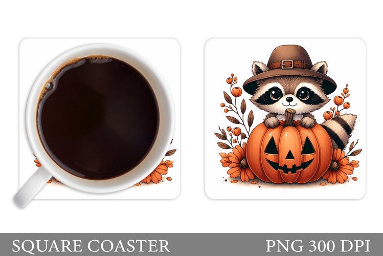 Raccoon Clipart Image 21