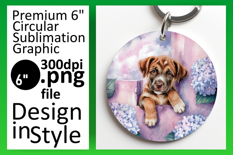 Circle Png Image 15