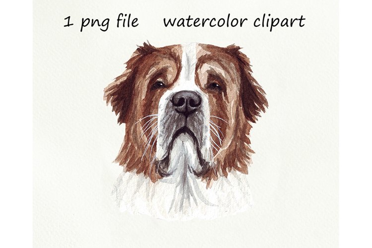 Animal Drawing Image 19