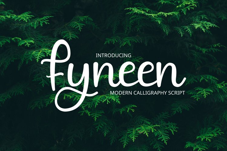 Fyneen Modrn calligrapy example image 1