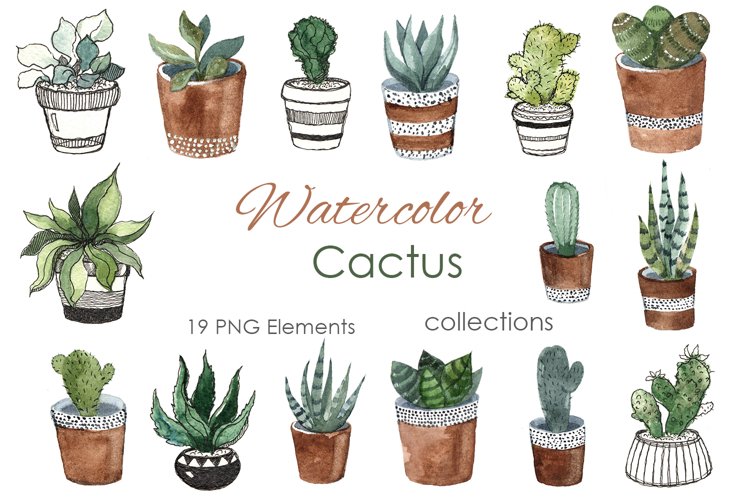 Watercolor Clipart. Cactus Clipart. Tropical dessert example image 1