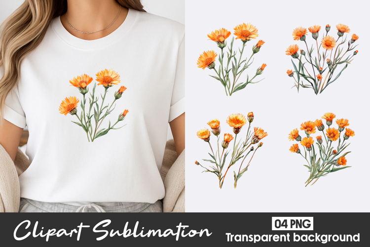 Orange Wildflower Watercolor Clipart PNG