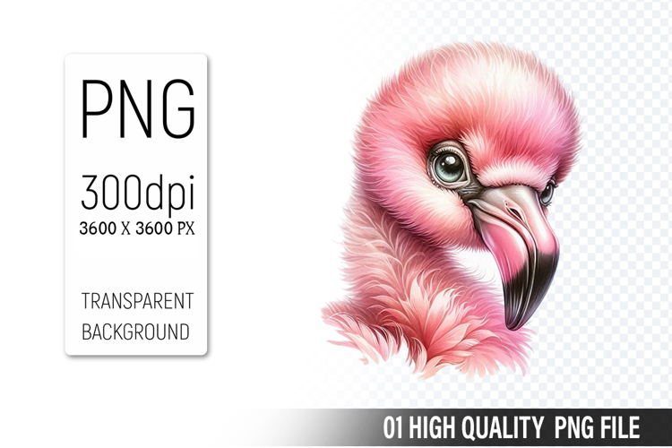 Animal Graphics Image 5