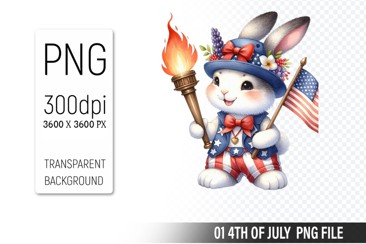 American Flag Png Image 20