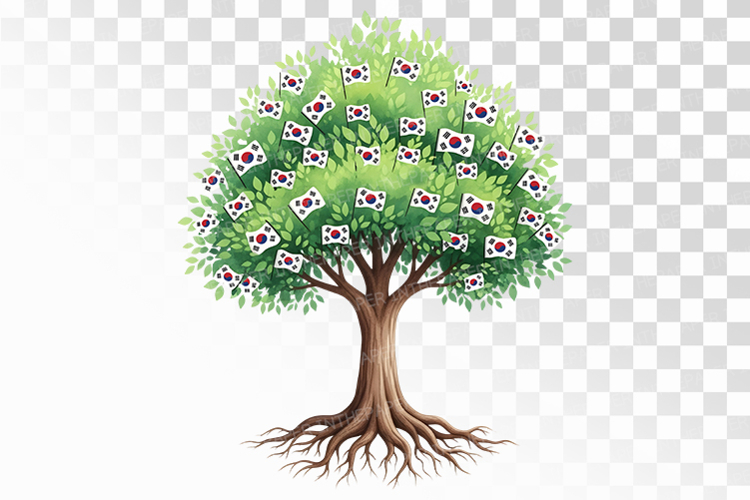 Taegeukgi Flags Abundant Tree National Growth PNG Korean