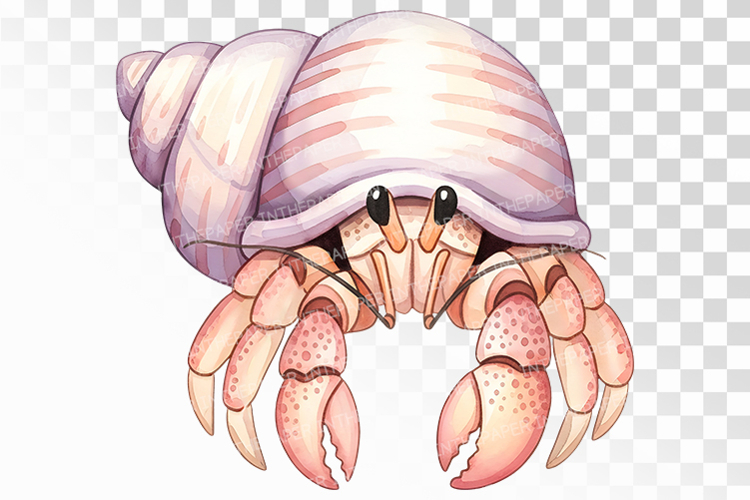 Kawaii Clipart Image 6
