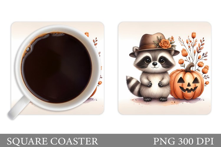 Raccoon Clipart Image 19