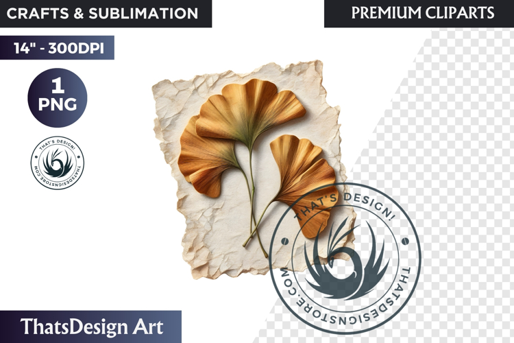 Medicinal Herbs clipart PNG, Apothecary Botanical Graphic