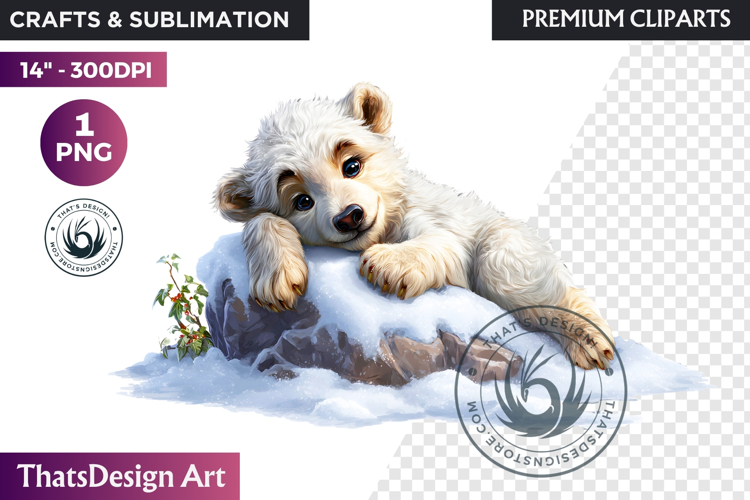 Watercolor Polar Bear Arctic Wildlife animal Illustration