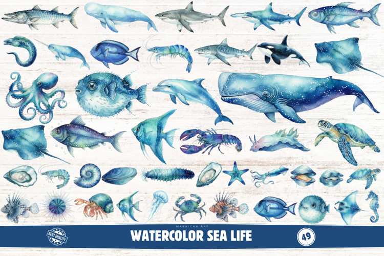 Watercolor Sea Life Clipart