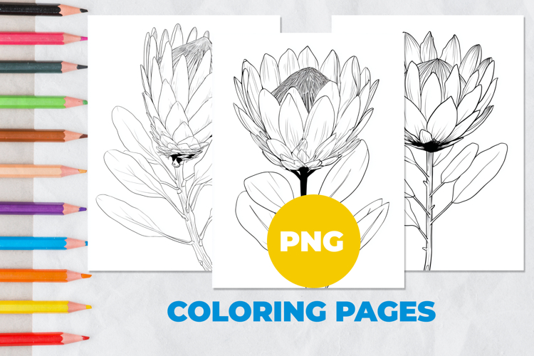 Tropical flower Coloring Pages | Coloring book