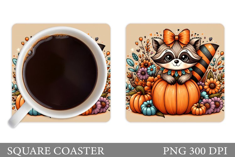 Raccoon Clipart Image 14