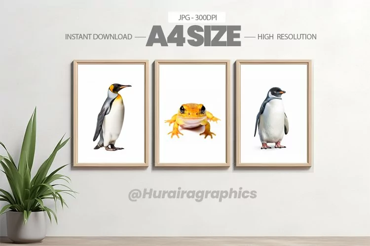 Animal Wall Art - 03 Variations