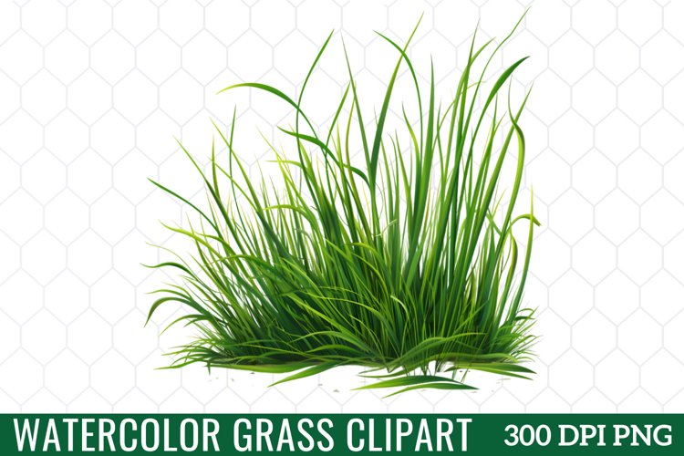 Grass Clipart Image 18