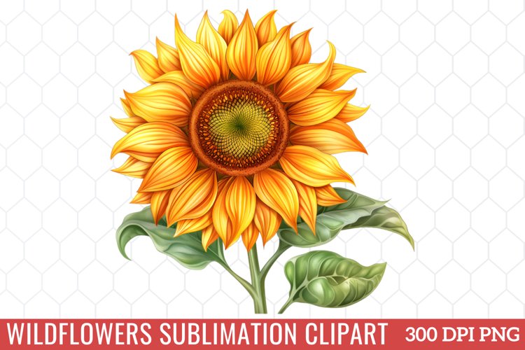 Spring Clipart Image 15