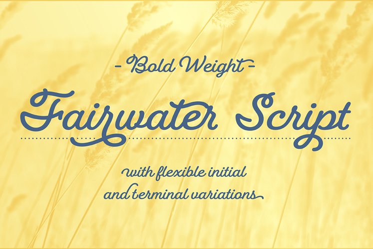 Fairwater Script Bold example image 1