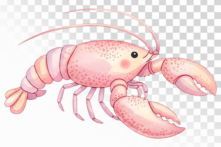 Pink Ocean Lobster Marine Animal Delicious Seafood PNG