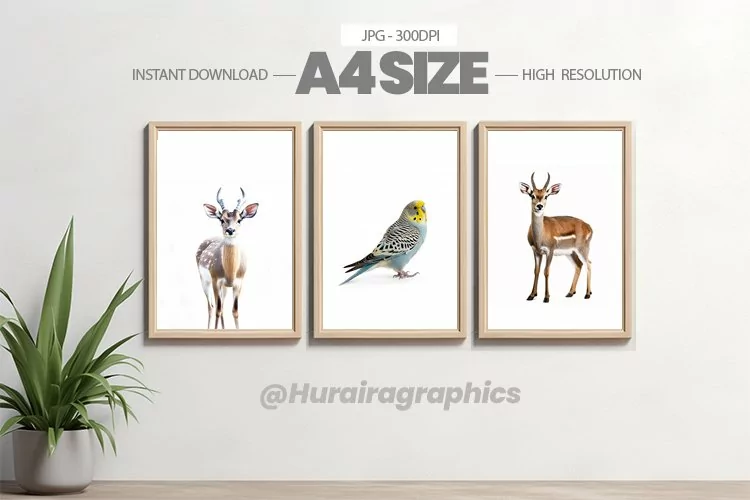 Animal Wall Art - 03 Variations