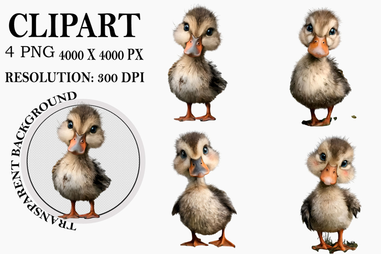 Whimsical Sunflower Animals Clipart Watercolor PNG