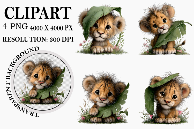 Safari Png Image 4