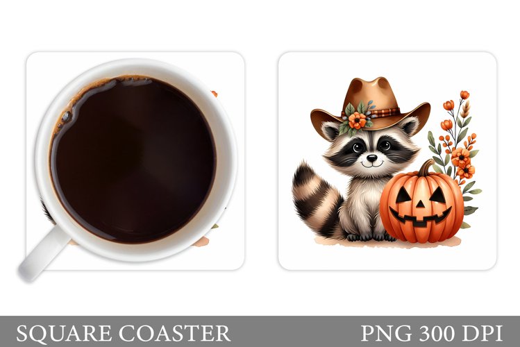 Raccoon Clipart Image 20